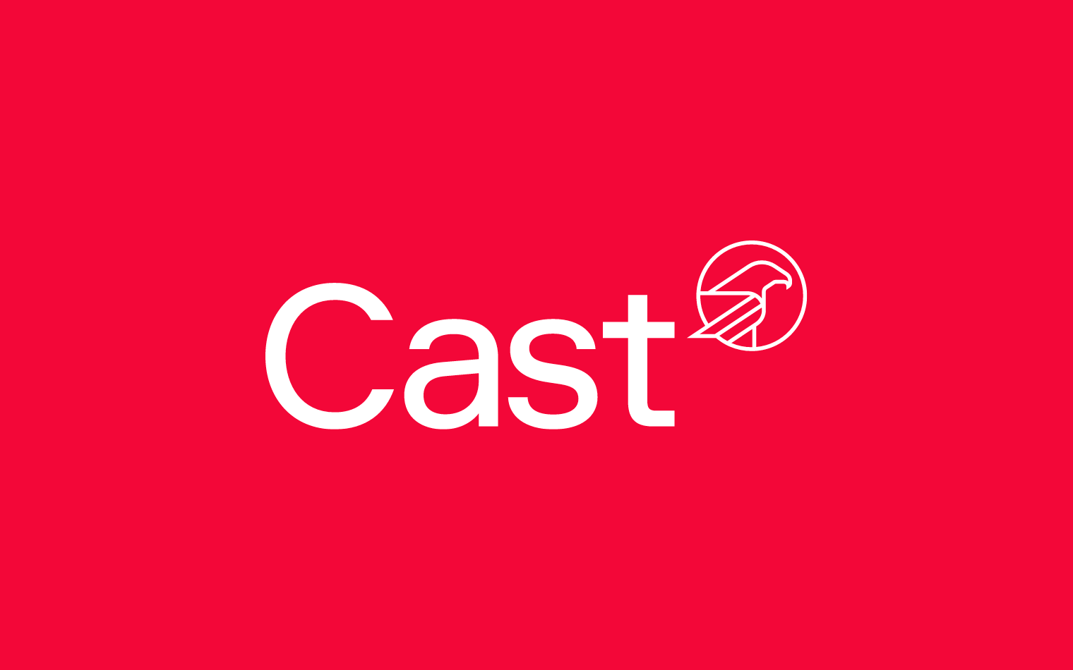 Cast | Web Build | Work | SED Digital