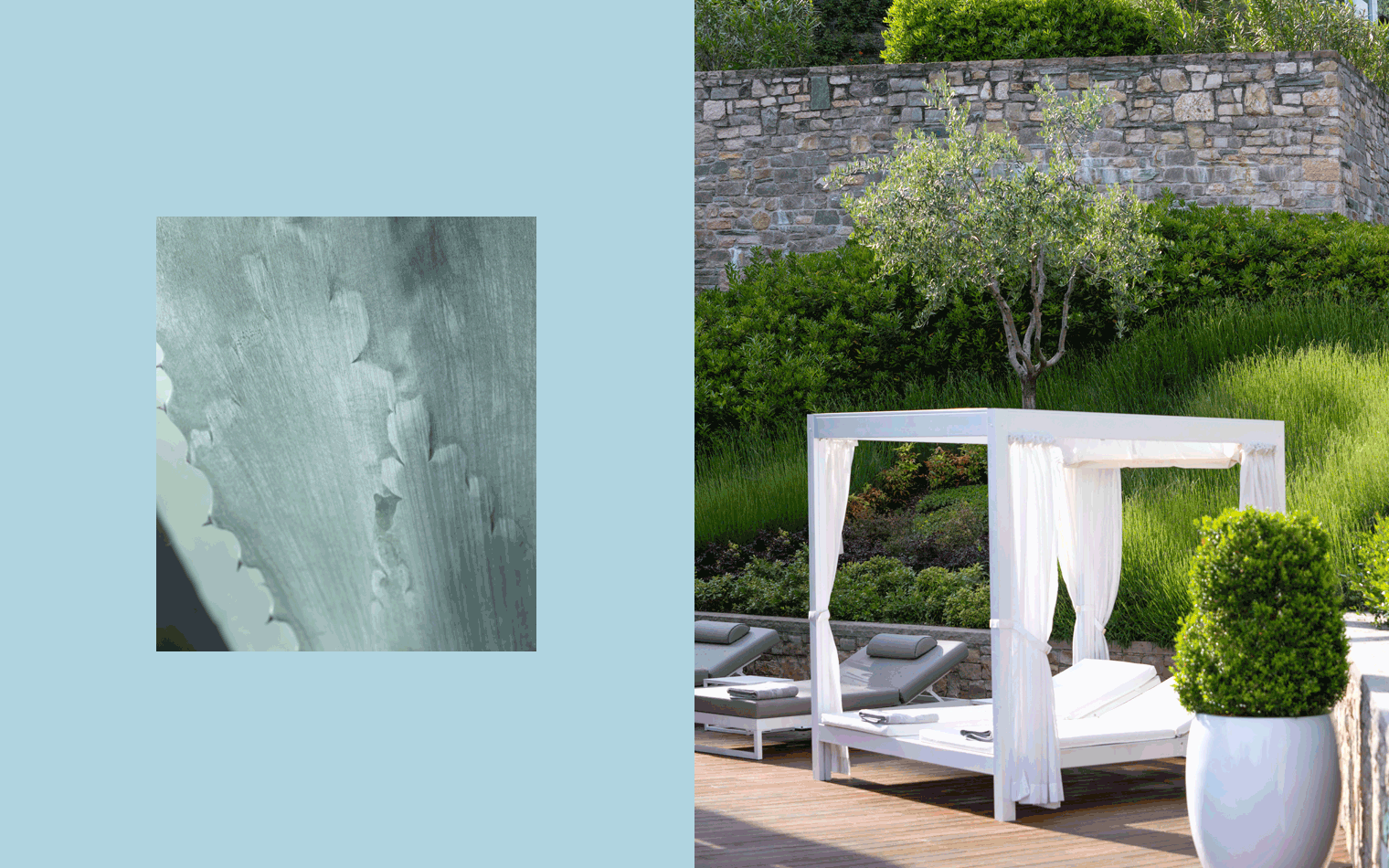 Eden Reserve | Digital Marketing | Work | SED Digital