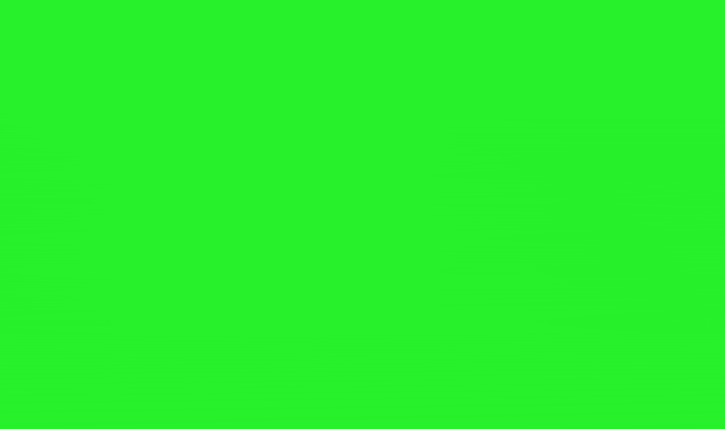 Stockwool | Web Build | Work | SED Digital