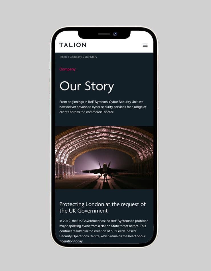 Talion | Cyber Security Web Design | Web Build | Work | SED Digital