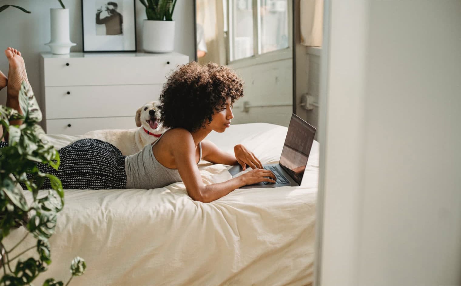 Glide | Web Build | SED Digital