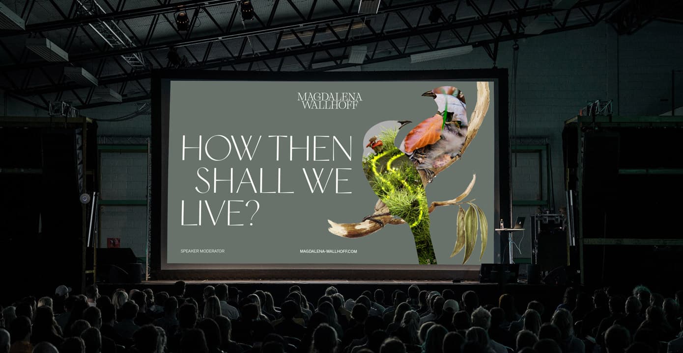 Magdalena Wallhoff’s New Website Launched| News & Insights | SED Digital Magdalena Wallhoff's New Website Launched| News & Insights | SED Digital