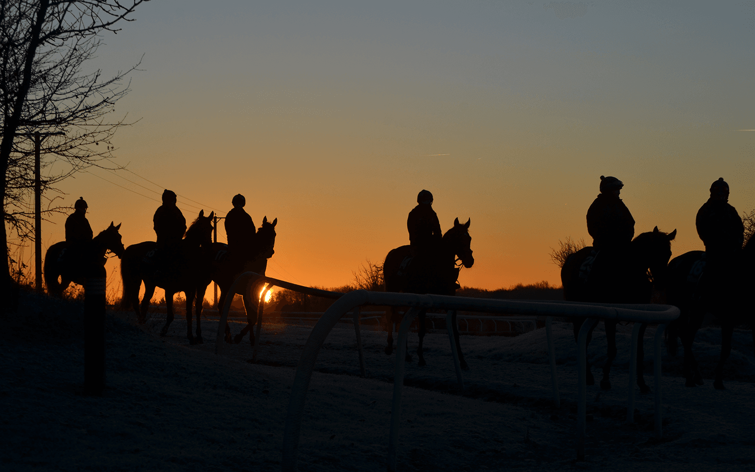 O'Neill Racing | Website Development & Design | Work | SED Digital